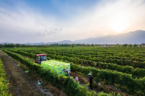 国产视频3p,揭秘中国影视行业的新趋势与挑战